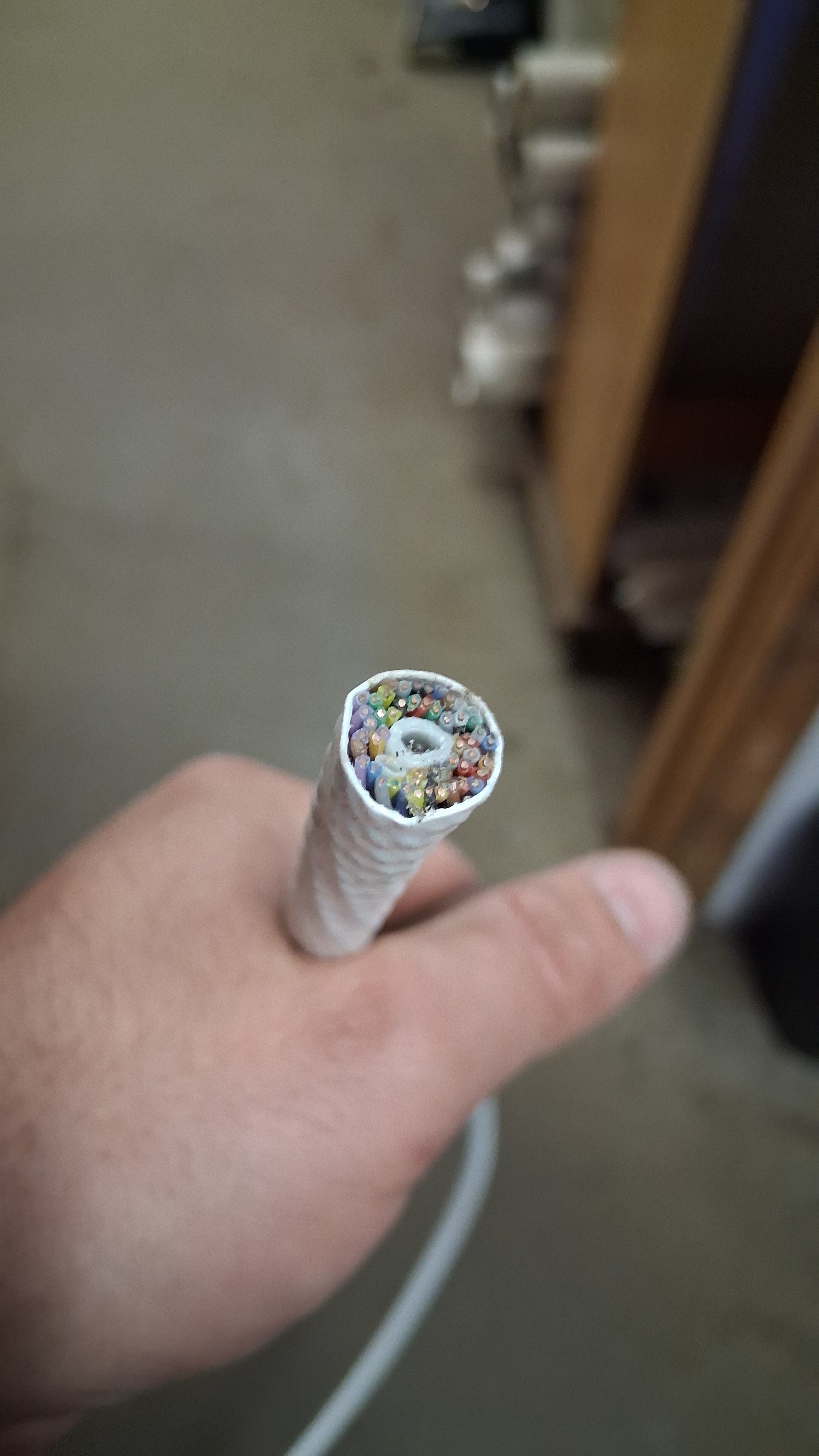 1000006067.jpg