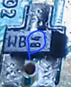 20230415_194939_resized (1).jpg