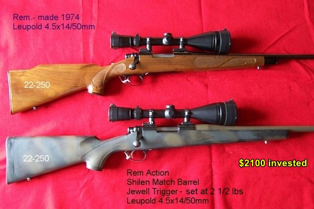 22-250 rifles.jpg