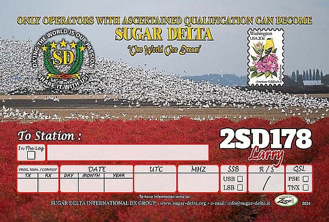 2SD178 #2.jpg