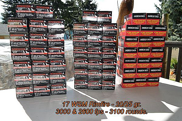 3100 rounds.JPG