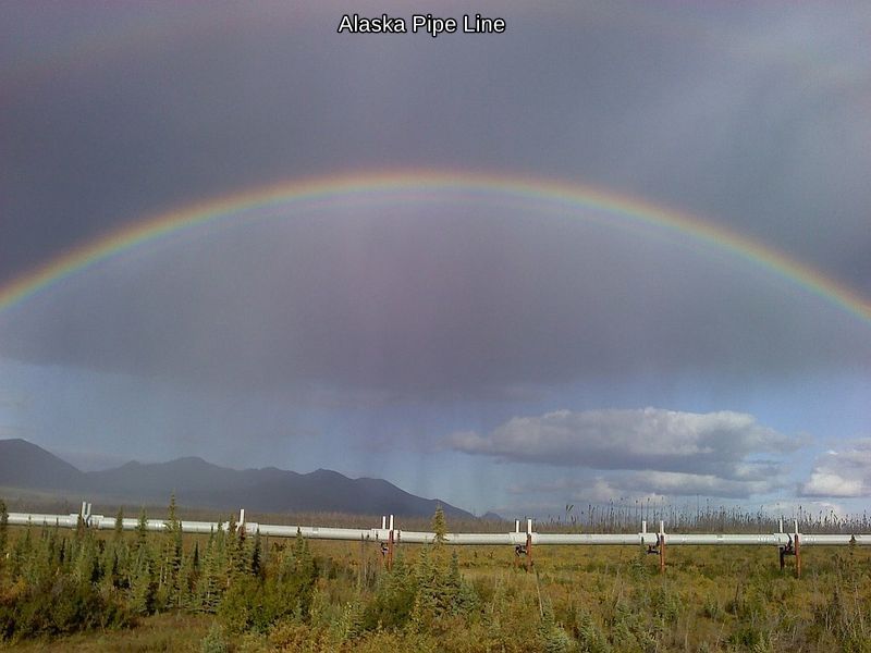 Alaska Pipline.jpg