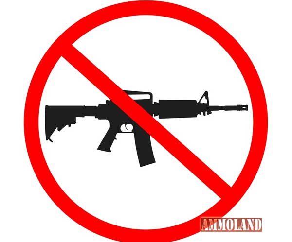 AR15-Gun-Ban-No-Guns.jpg