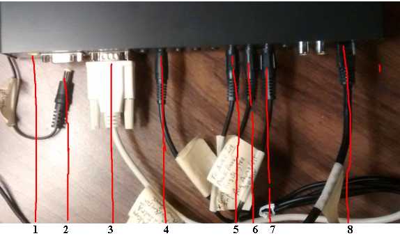 BACK PANEL LINES.jpg