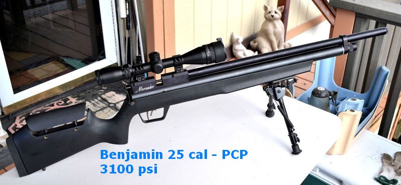 Benjamin 25 cal. 1.JPG