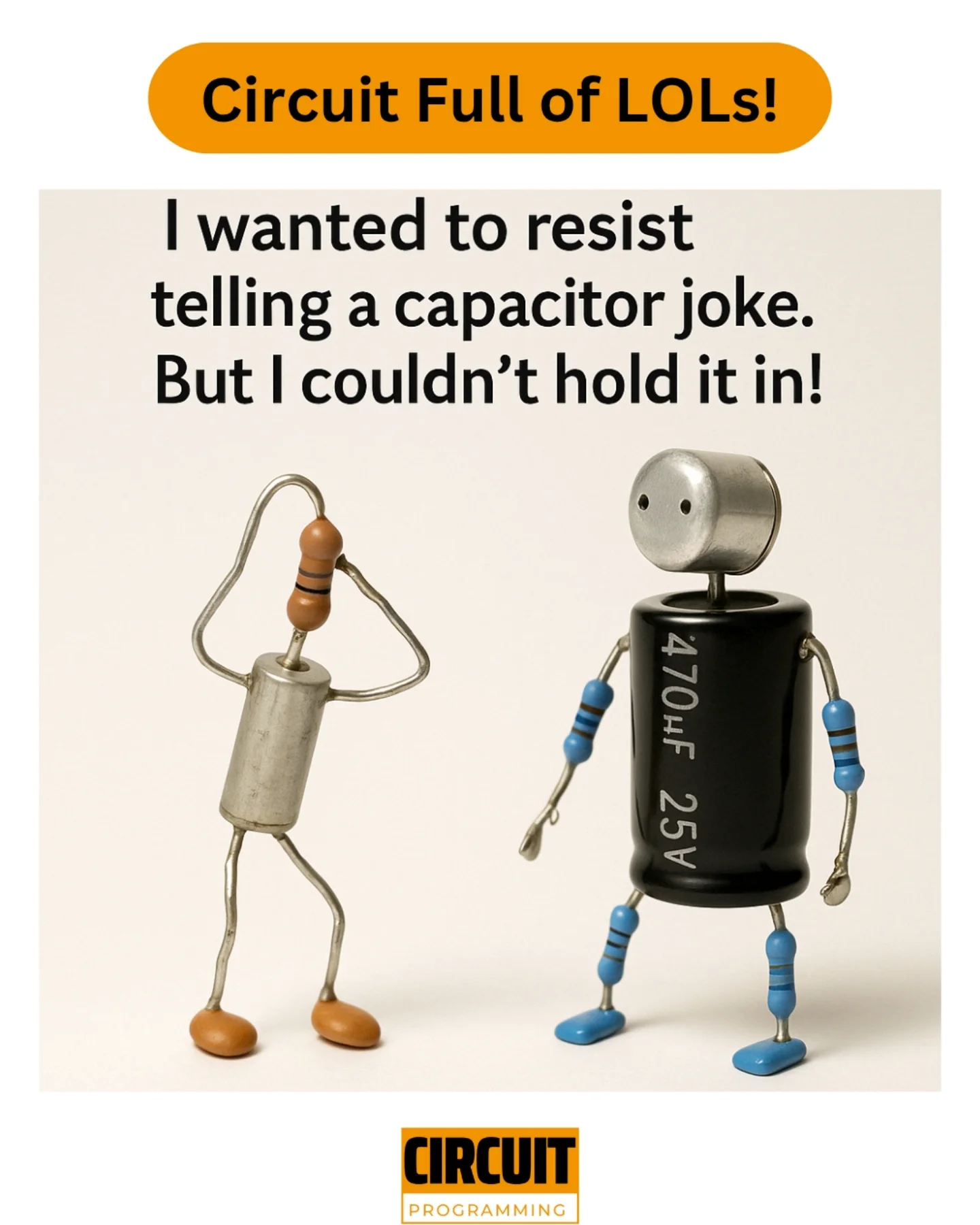 circuitprogramming_couldnt hold it in.webp