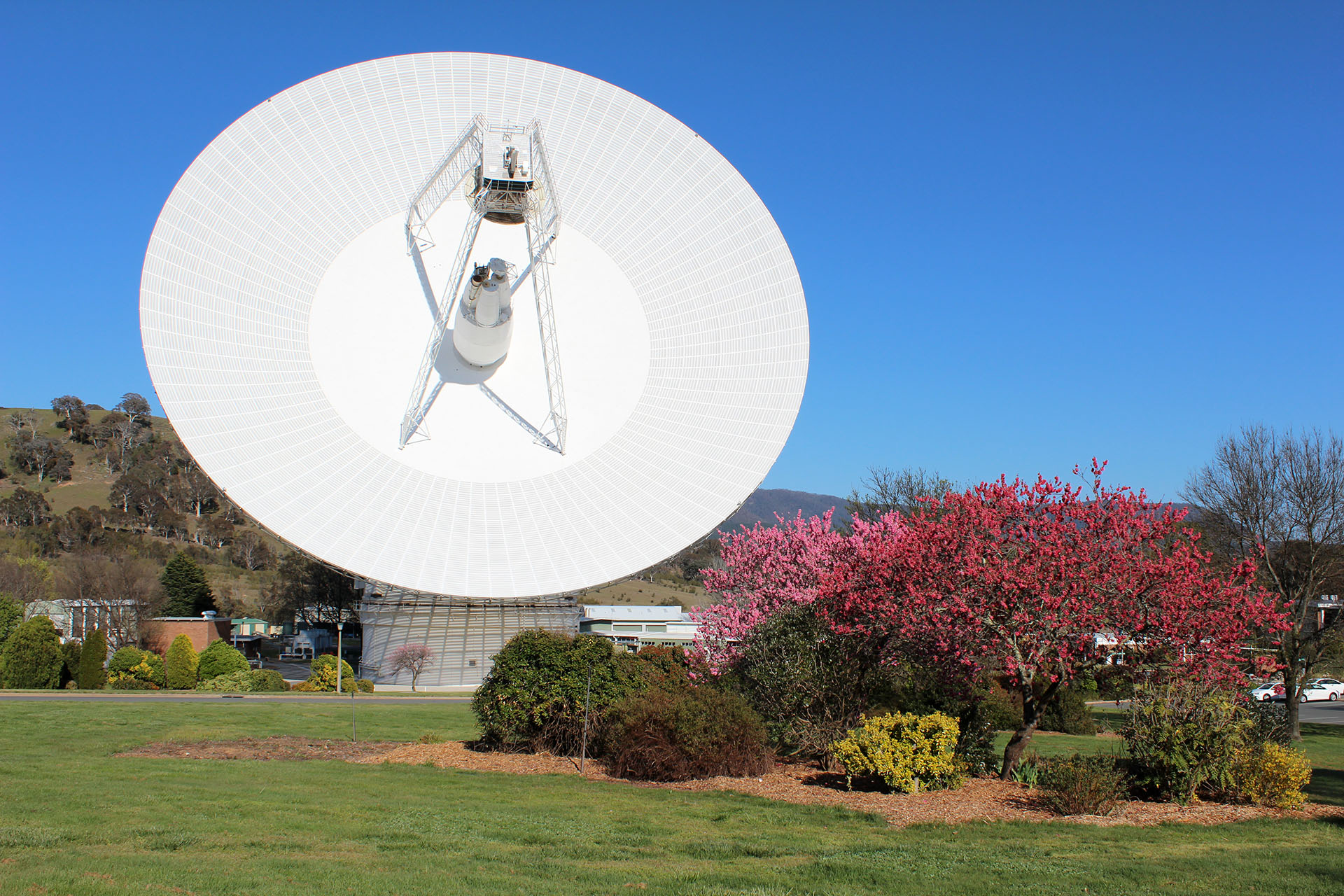 dss43-1_fs.jpg