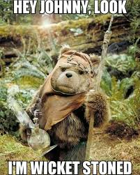 ewok.jpg