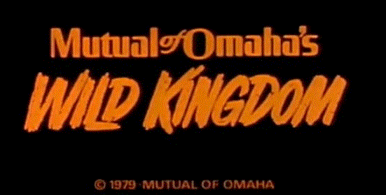 MutualOfOmahaWildkingdom.gif
