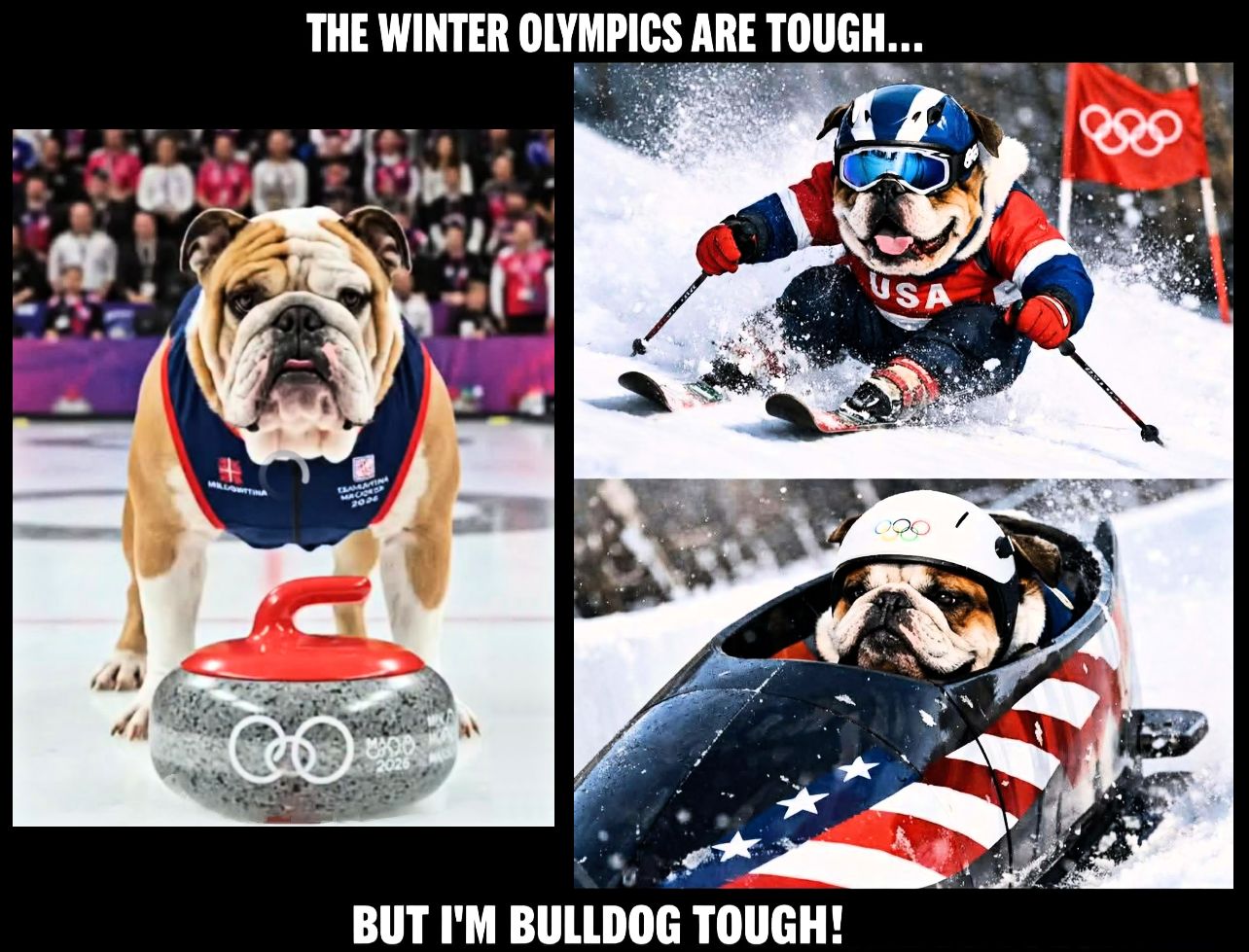 Olympic Bulldogs.JPG