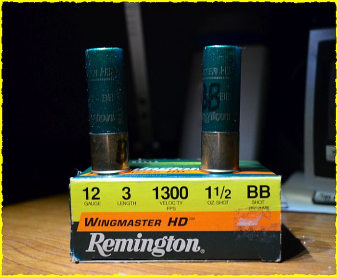 Rem HD -12ga.JPG