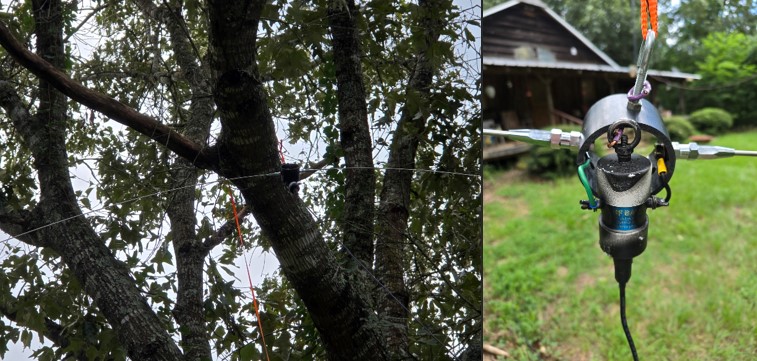 Steel whip dipole.jpg