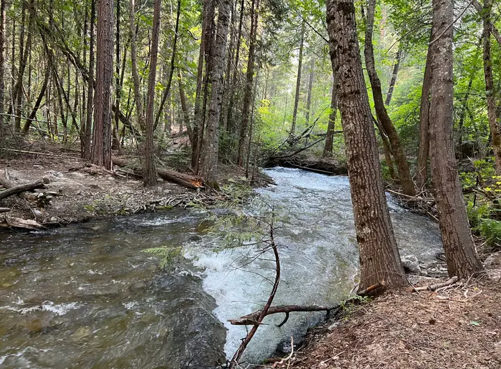 Trail to Mirror Lake.png