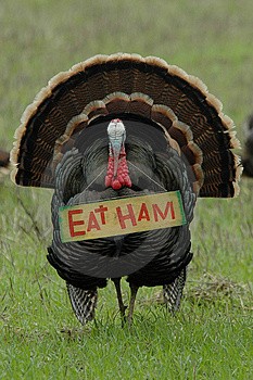 turkey_eat_ham.jpg