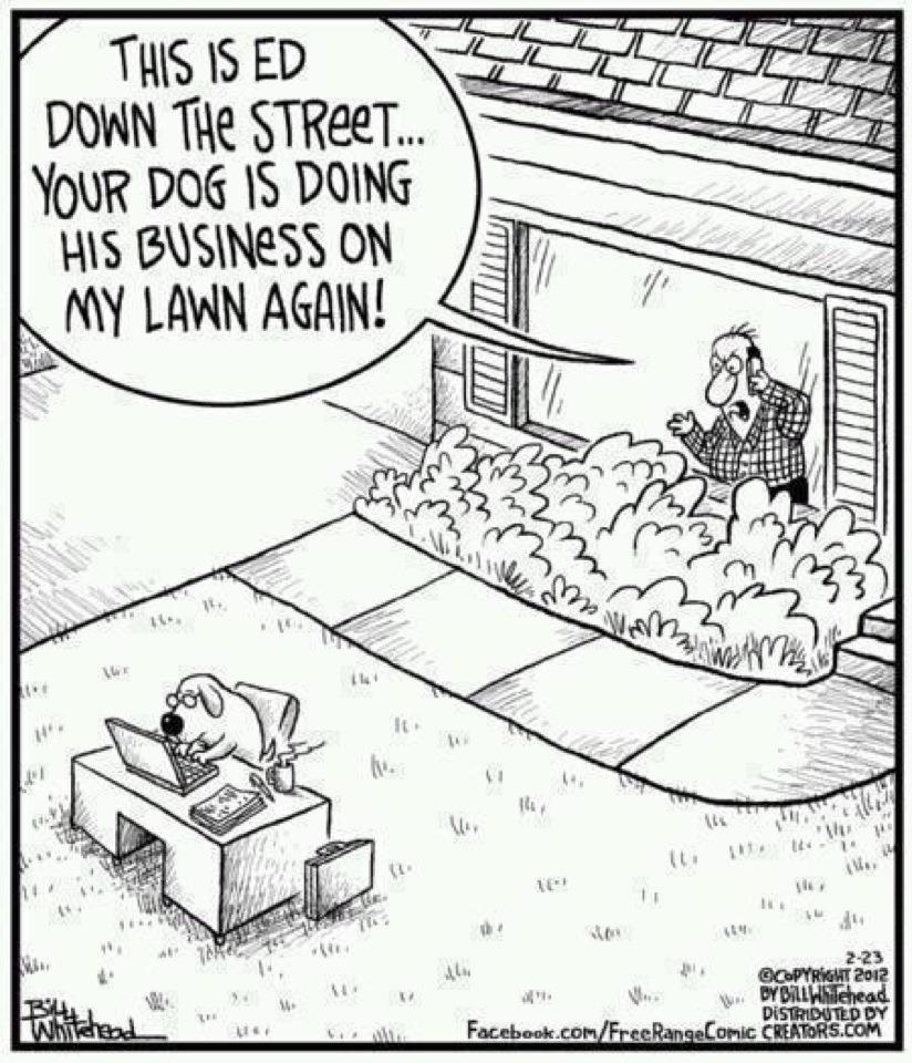 your-dog-is-doing-his-business-on-my-lawn.jpg