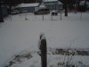 snow 0022.JPG