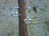 Guy wire eyelets.jpg