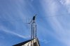 ElkAntenna.JPG ElkAntenna.JPG
