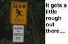 ItGetsalittlerougho.jpg