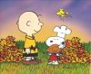 C Brown Snoopy Thanksgiving.jpg
