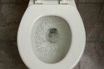 toilet_flushing.jpeg