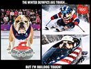 Olympic Bulldogs.JPG