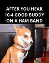 1781301905711.png