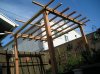 pergola4.jpg
