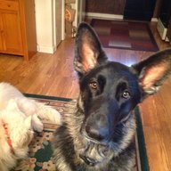 Terry pillbox Tinagero