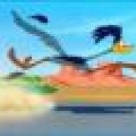 roadrunner2