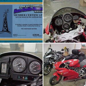 Ducatiloyd's "Q" Card