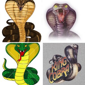 King_Cobra