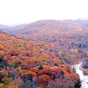 My neck of the woods