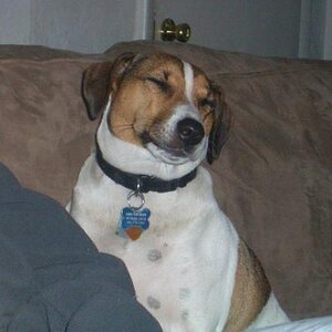 Christmas2007 087LITTLE RASCAL FLATTS