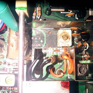 IMG00444 20100627 1843