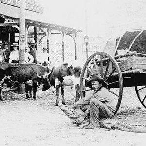 Bud Yates. My ancestors have been in Florida since 1842. Here is one of them entertaining people in the City of Orlando on Orange Ave. in the late 180