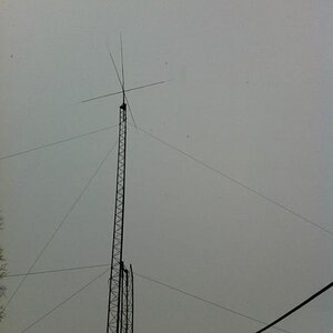 Wild Bill Ground Plane 110'