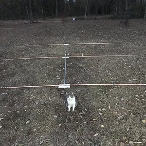 50163471109__102E7837-185B-4A62-A3AC-A96814E9AE61