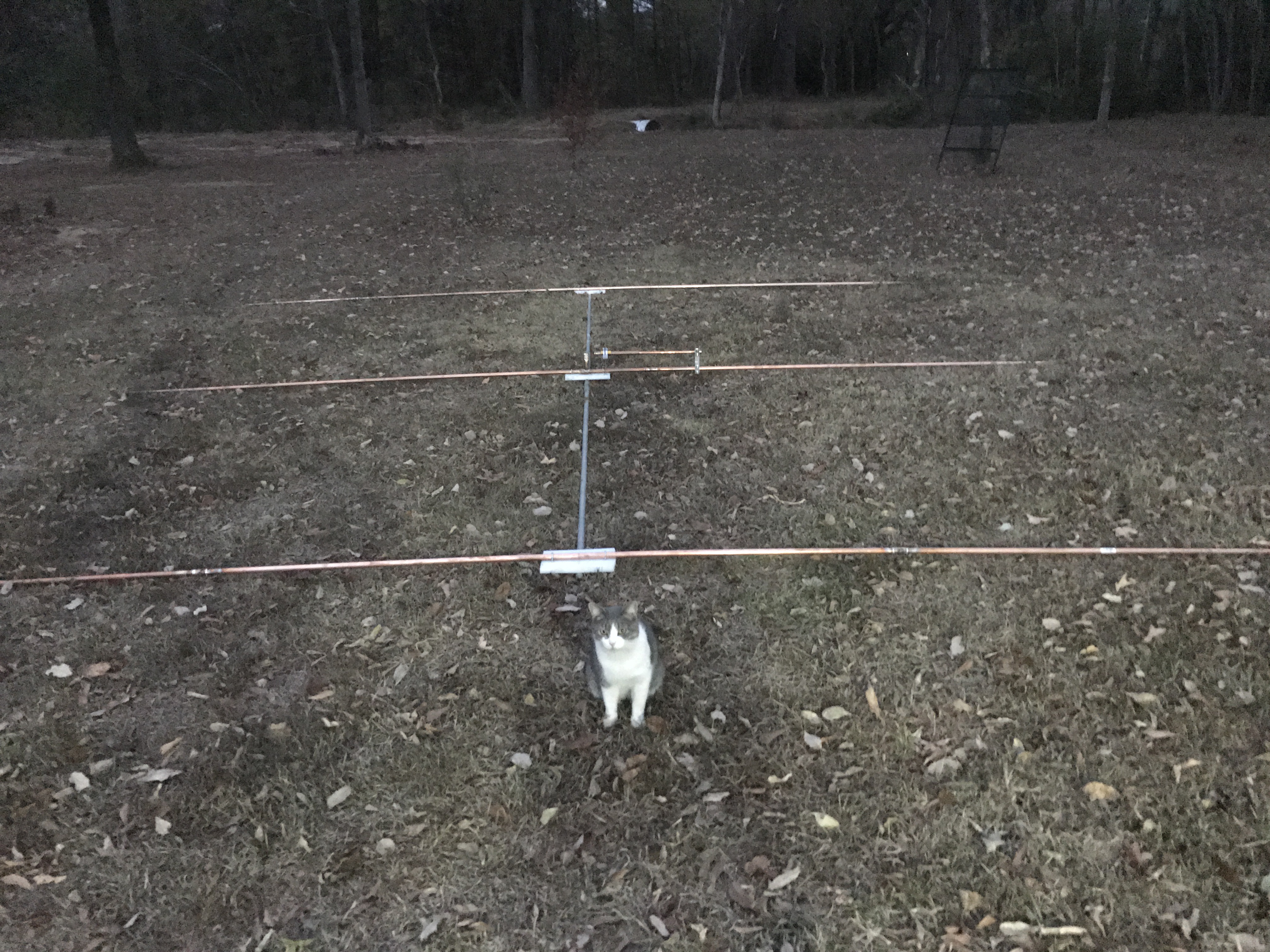 50163471109__102E7837-185B-4A62-A3AC-A96814E9AE61