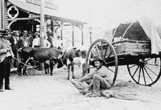 Bud Yates. My ancestors have been in Florida since 1842. Here is one of them entertaining people in the City of Orlando on Orange Ave. in the late 180