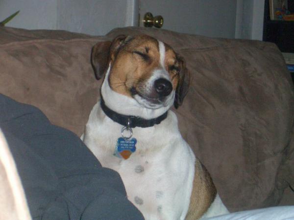 Christmas2007 087LITTLE RASCAL FLATTS