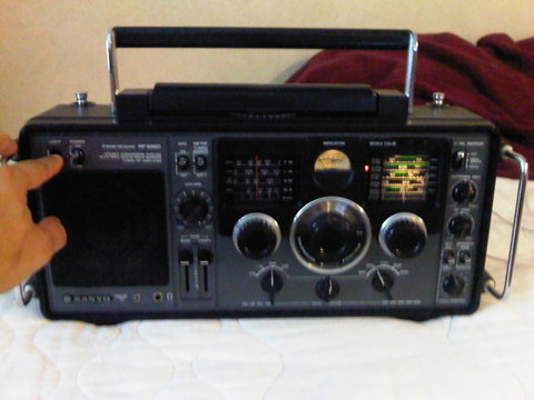 IMG00412 20100626 0912