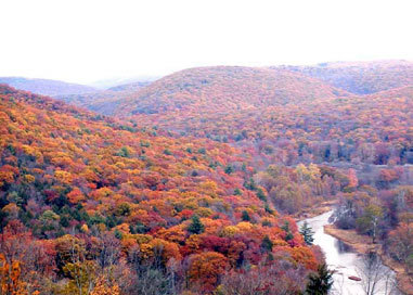 My neck of the woods