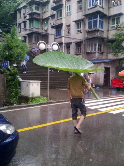 Umbrella Man