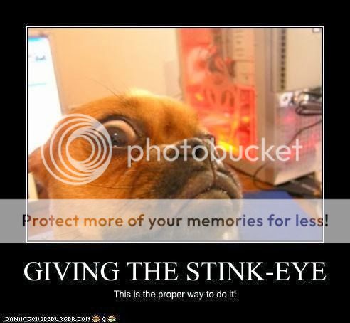 STINK%20EYE_zpseyolebqc.jpg