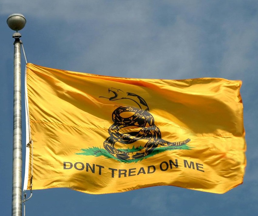 gadsden-flag-racist.jpg