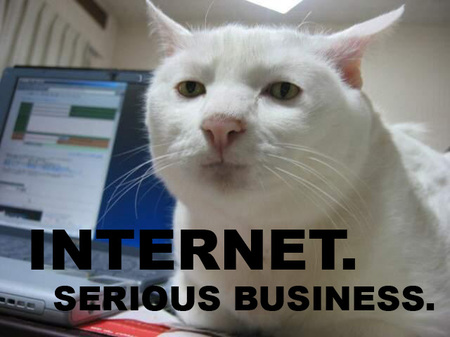 internet-serious-business-cat-thumb.jpg